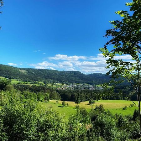 Apartment Sonnenbaenkle Balingen Zewnętrze zdjęcie