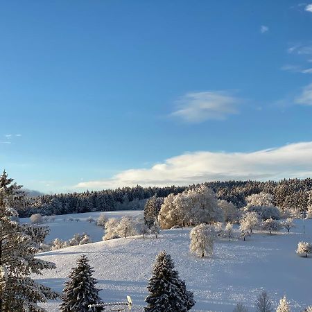 Apartment Sonnenbaenkle Balingen Zewnętrze zdjęcie