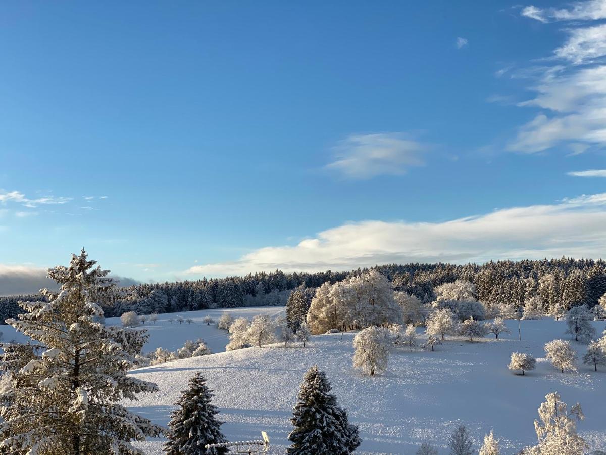 Apartment Sonnenbaenkle Balingen Zewnętrze zdjęcie